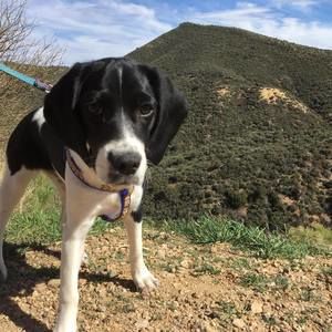 Meet your Posher, Julie